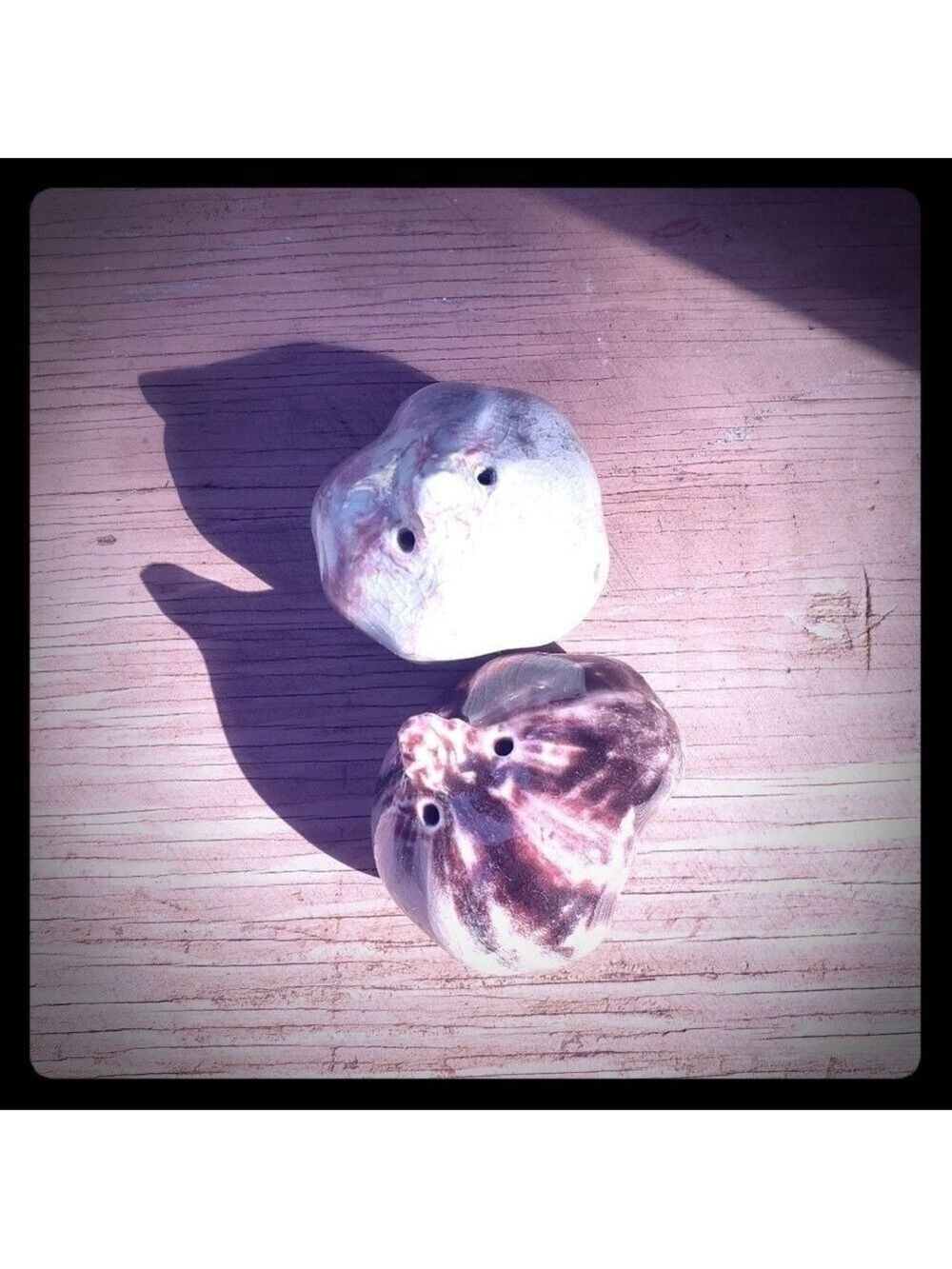 Salt Pepper Shakers Onion Bulb Shape